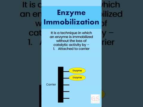 Enzyme Immobilization #biotechnology #learning #viral #shorts #viralshorts #viralvideo