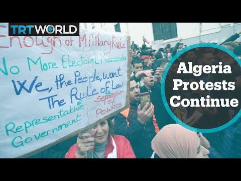 Algeria Election: Protesters denounce the election outcome