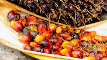Qué productos contienen aceite de palma
